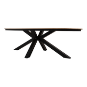 Tafel Arezzo ovaal 240x113cm