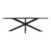 Tafel Murcia ovaal 242x117cm